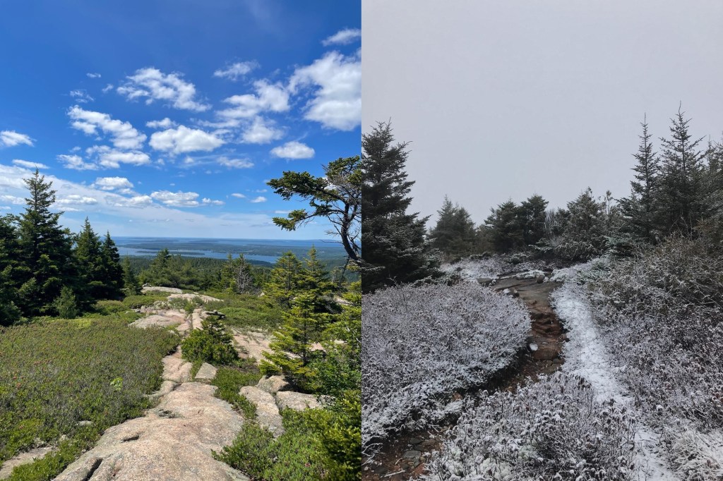 Who do we become when we leave home? On seasonal change, the coast of Maine, and moving&nbsp;away