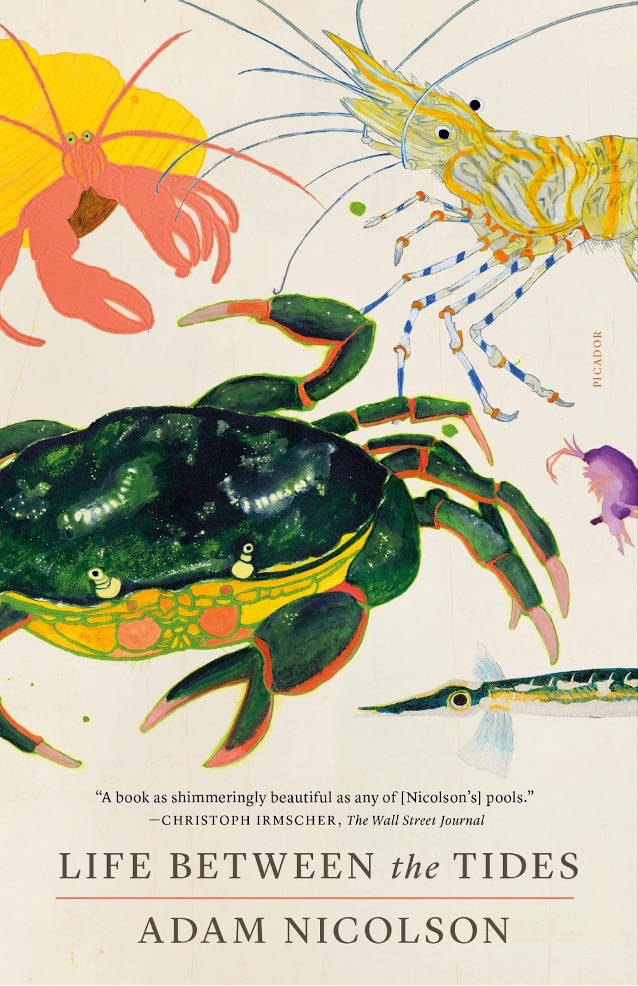 Stories from the Sea Part II: Book Recommendations from the Ocean &&nbsp;Beyond