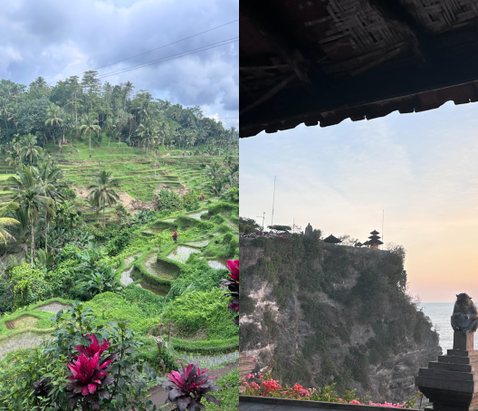 A photo collage. On the left a bright green, landscape of terraced fields is highlighted by some bright purple/pink flowers. On the right, a small monkey perches on a stone pedestal at sunset. In the background, there is a cliff topped with exotic architecture and an ocean view.