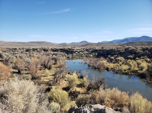 A sunny desert landscape full of sagebrush and other desert vegetation. A slow moving river cuts through the middle of the frame.
