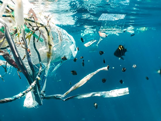 Plastic Pollution: A Global Problem That Starts With Us