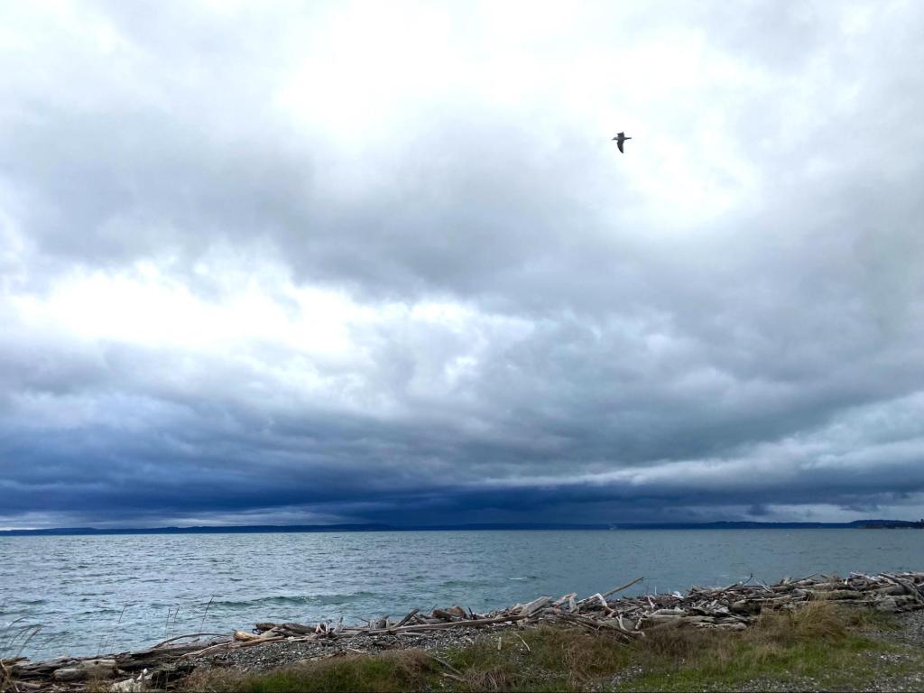 Wandering Around Whidbey: The Best Places to Explore on Whidbey Island this&nbsp;Winter