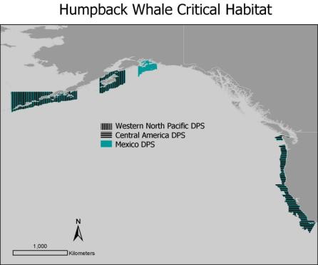 Grayscale map showing the critical habitat overlap of the Central American humpback whale population.