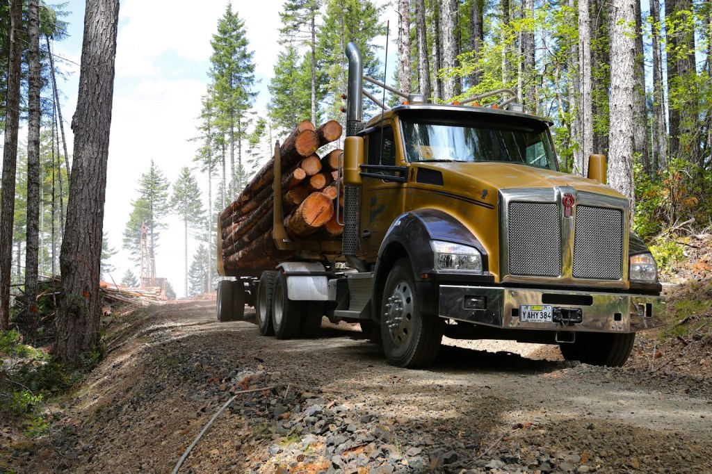 Old Forest Roads and the Accessibility of Wild&nbsp;Spaces