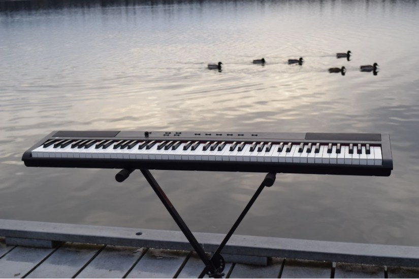 An electric keyboard set up on a dock by a lake with six ducks swimming in the background.