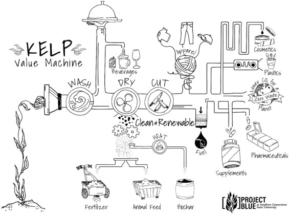 A black and white diagram shows the process of harvesting and using kelp in value added products like fertilizer, animal feed, fuels, pharmaceuticals, supplements, apparel, beverages, bioplastics, and cosmetics. It emphasizes how kelp is a clean and renewable resource, contributing to a potential zero waste planet.