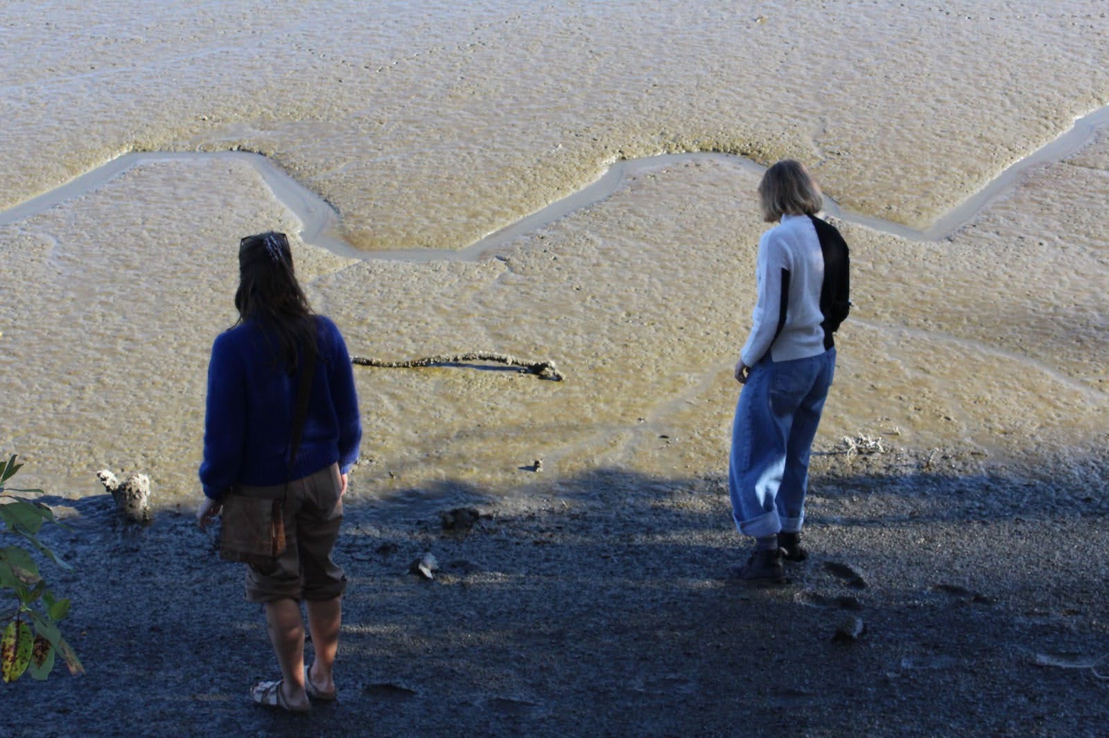 Eliza Perkins and Taylor Hughes comb the tidal mudflats of Oyster Bay, WA, in search of oysters.