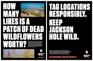 A graphic taken from the Jackson Hole News and Guide reads: "How many likes is a patch of dead wildflowers worth? Tag locations responsibly. Keep Jackson Hole wild."