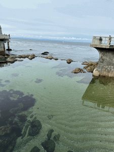 Picture of a shallow, clear pool of water with rocks surrounding the edge in Monteray Bay, California.