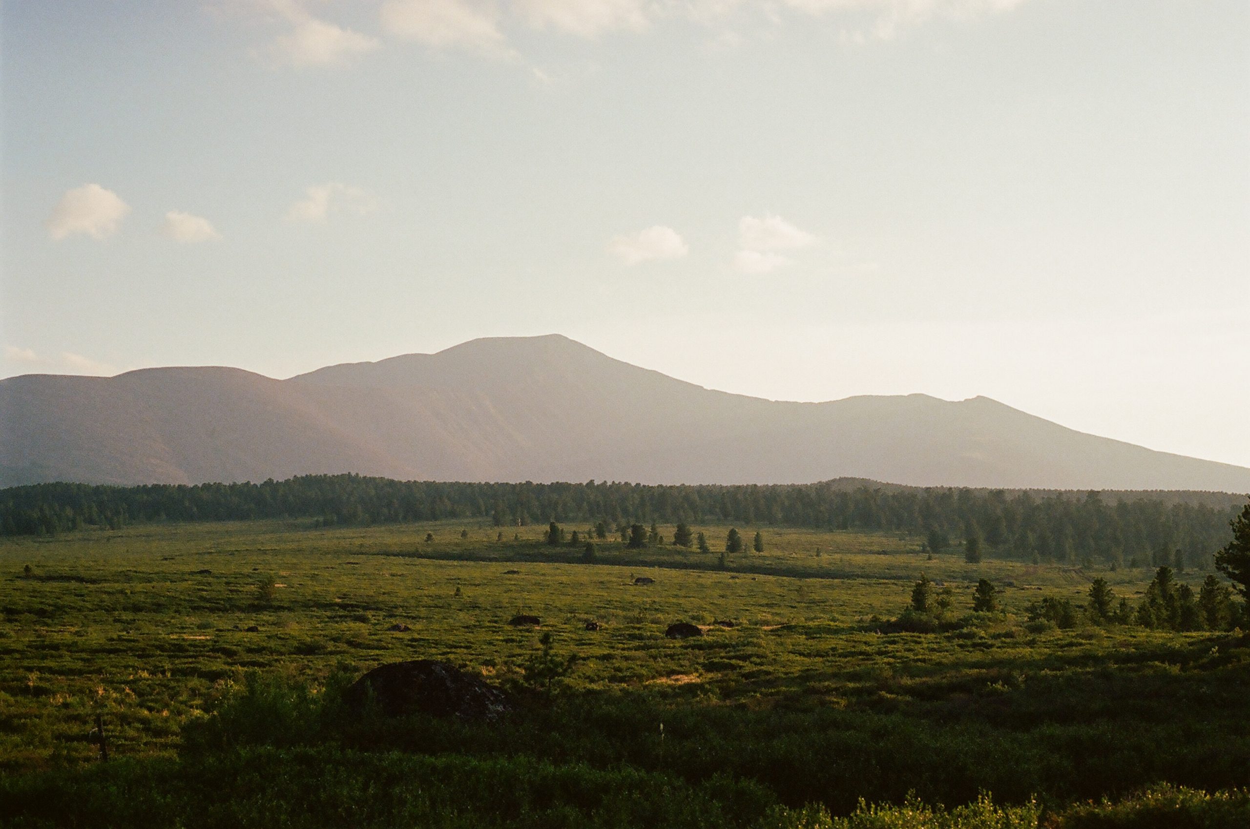 Green and golden light highlights a open field that leads to a densely wooded area with a tall golden mountain rising into the distance.