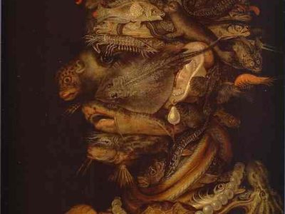 What even is biodiversity,&nbsp;anyway?