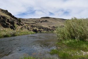 A river flows through a rocky canyon with greenery on its banks. It's a sunny day with partly cloudy skies in the background.