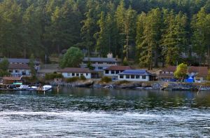 Several buildings dot the coastline just in front of towering evergreens that are washed in sunlight. The photo is taken from the water, which ripples out in front of the photographer.
