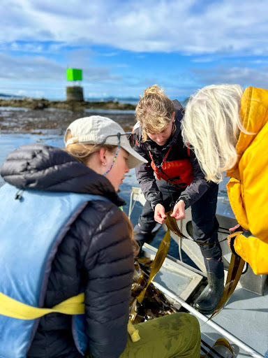 At the bow of a boat, one person holds up a kelp frond for study as two individuals look on intently.