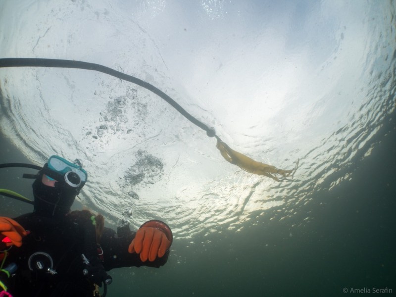 Introducing the 2025-2026 Currents&nbsp;Board