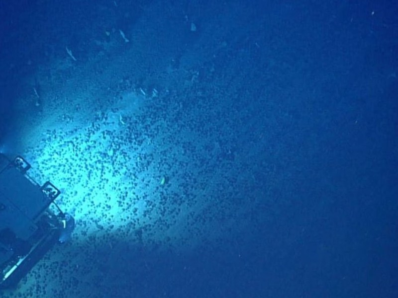 Mining the Ocean&nbsp;Floor