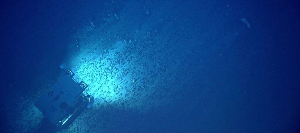 Alt text: A remotely operated mining machine makes its way over an expanse of polymetallic nodules in the Atlantic Ocean.