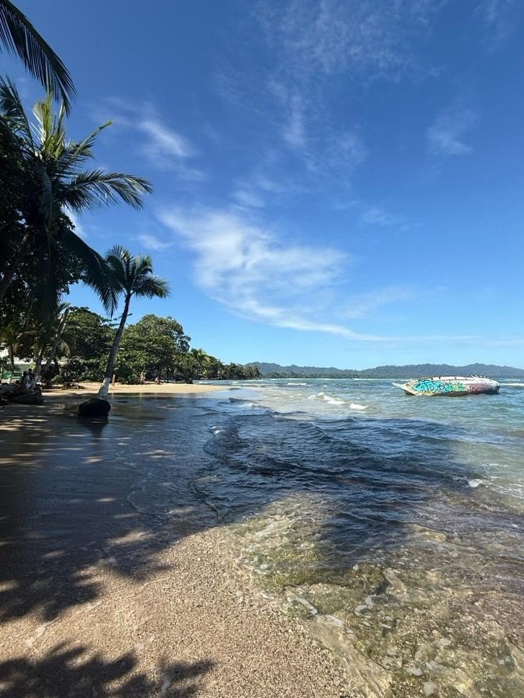 Alt Text: The Caribbean coast of Costa Rica, with palm trees lining the shore and clear, blue waters. A wrecked boat tagged with graffiti rests just offshore.
