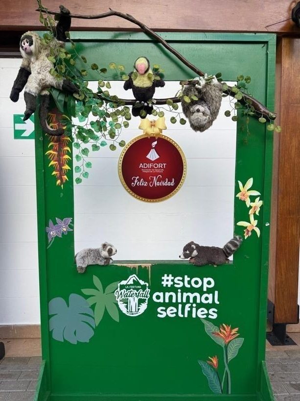 Alt text: A cut-out stand atop the entrance to the La Fortuna waterfall, promoting the country’s ongoing #Stopanimalselfies campaign. Adorned with stuffed animals of local fauna (including a toucan, sloth, and monkey), visitors are encouraged to snap their selfies with fake animals in place of supporting the mistreatment of real ones, who are forced to pose for a small fee to their handlers.