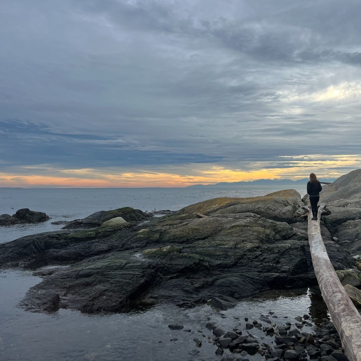 Treading Lightly: The Power of Observation in the Natural&nbsp;Sciences