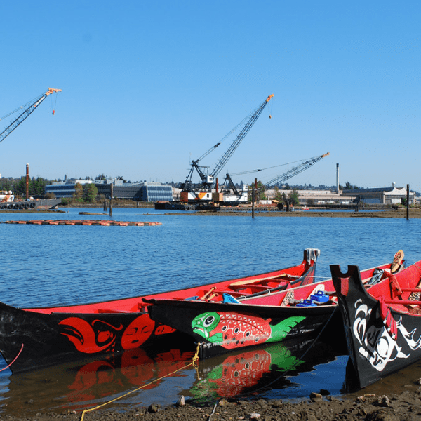 Taking Matters into Our Own Hands: Community-Driven Restoration of the Duwamish&nbsp;River