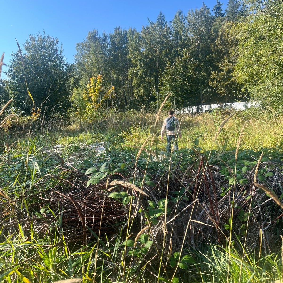 Learning in Place: Reflections From A Master of&nbsp;None