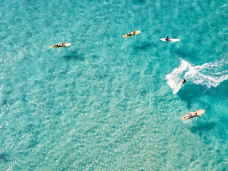 Standing for What we Surf On: Conservation Movements in the Surfer&nbsp;Community