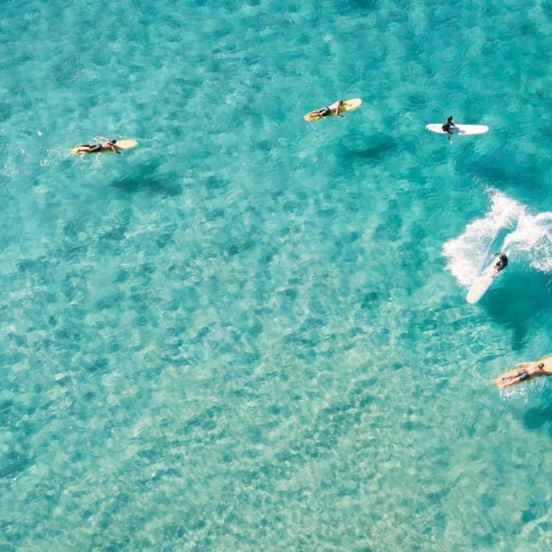 Standing for What we Surf On: Conservation Movements in the Surfer&nbsp;Community