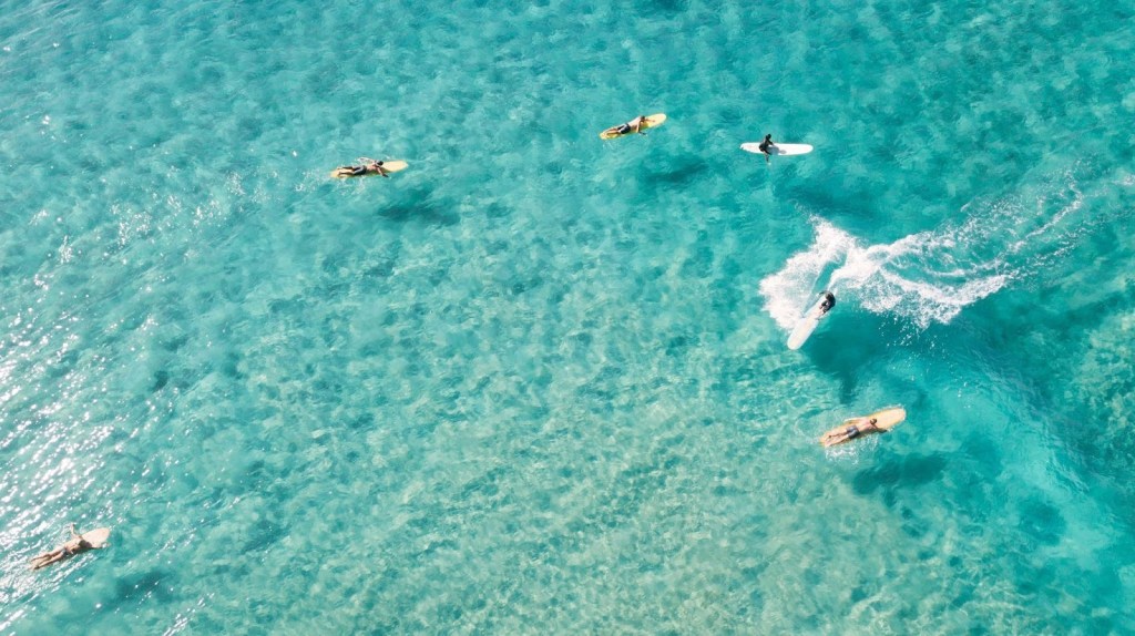Alt text: Birds-eye view of surfers on their boards in the clear turquoise waters of Byron Bay, NSW, Australia, take turns catching waves.