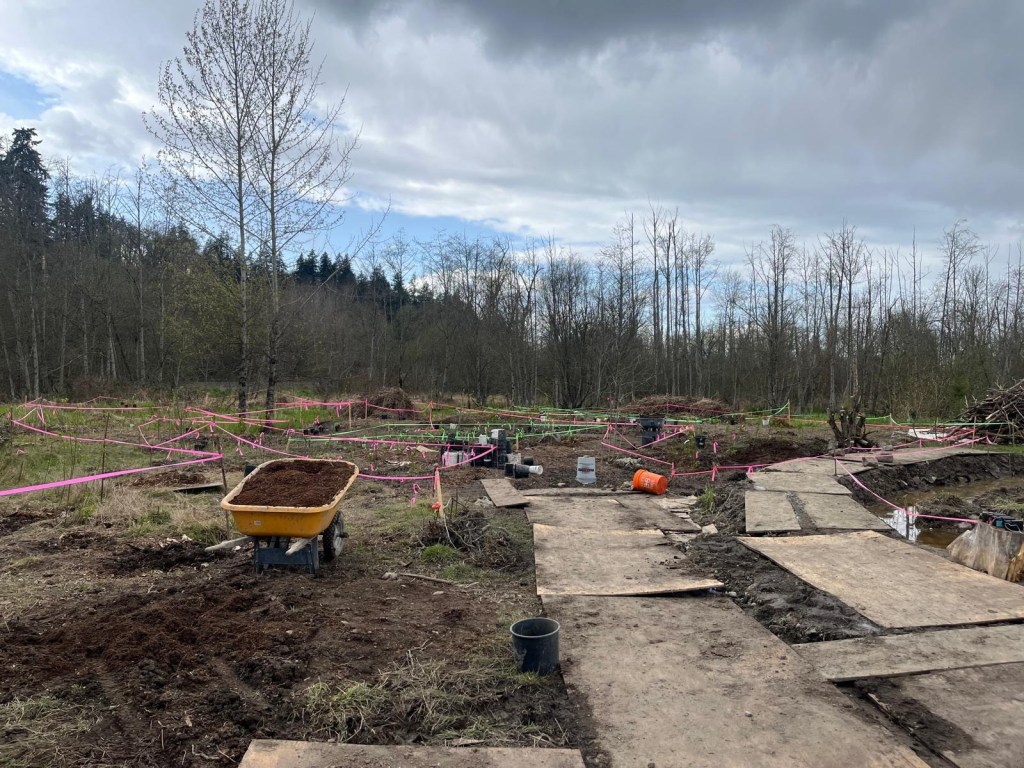 Alt text: A small section of the food forest in April 2025, when the first native plants were installed