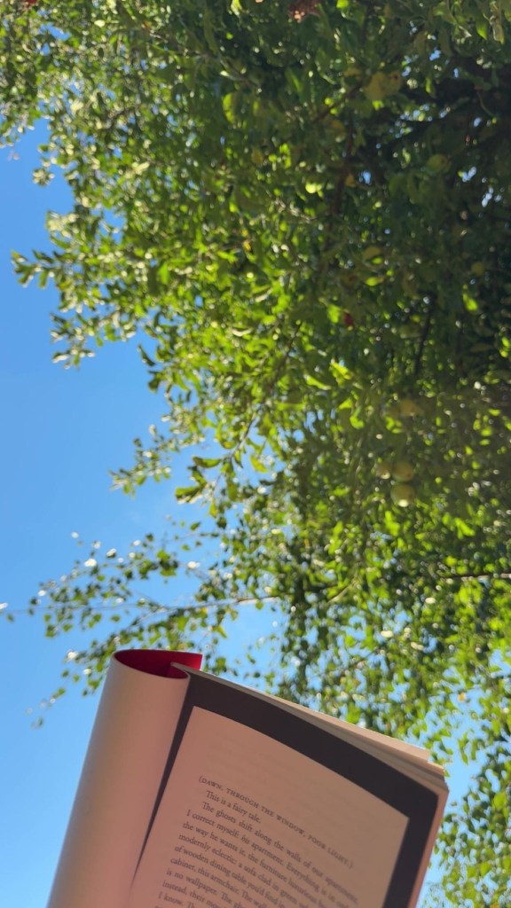 Alt text: An open book held up in front of the green branches of a tree with the sky in the background
